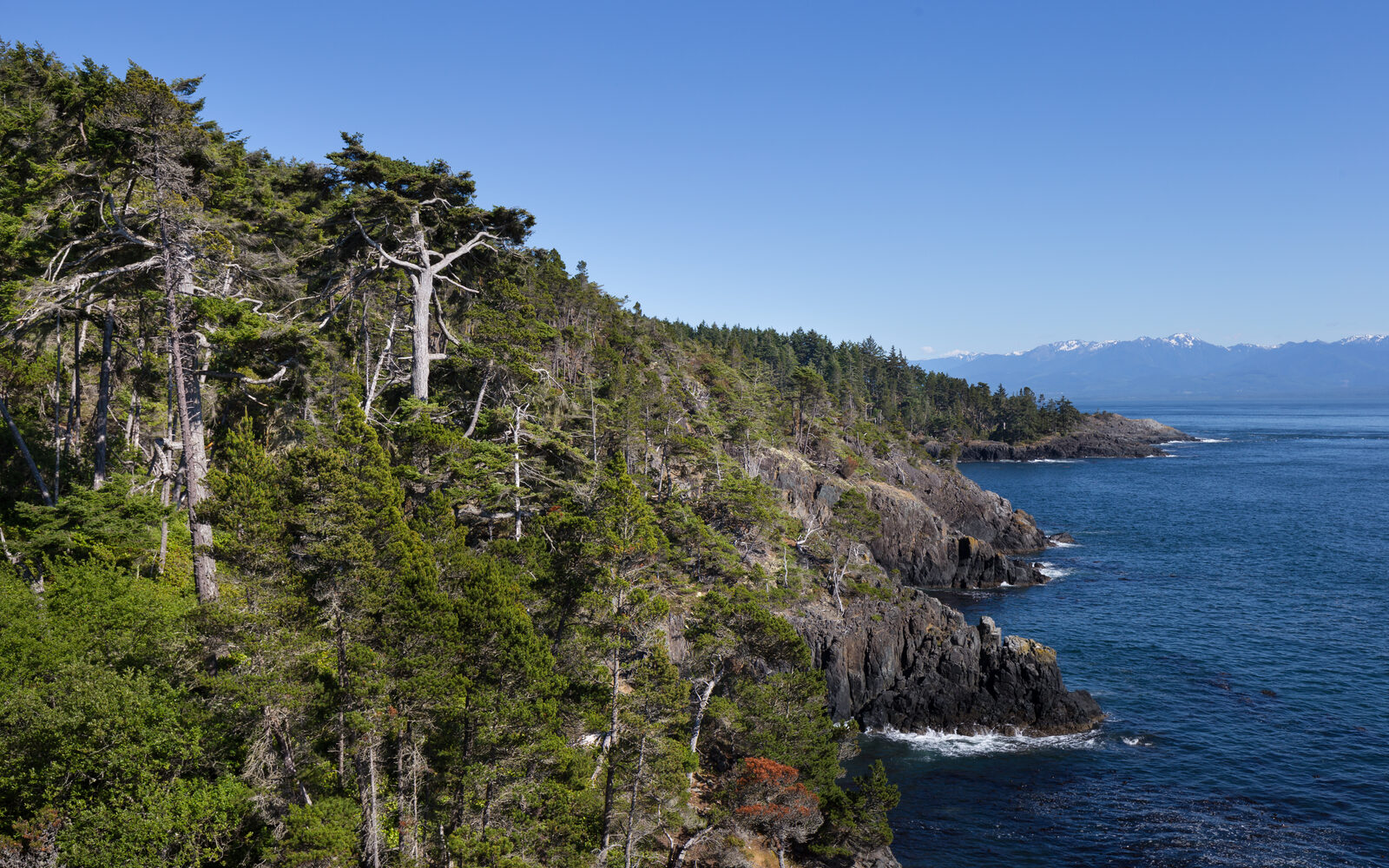 Rocky coastline of East Sooke Regional Park on Vancouver Island, British Columbia — atmospheric wild Pacific coast.